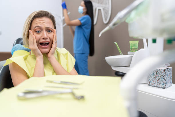 Best Emergency Dentist for Knocked-Out Tooth in Port Richey, FL